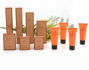 Custom Room Amenities Eco Friendly 5 Star Hotel Care Kit