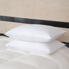 5 Star Hotel Standard Bed Down Pillows Standard 